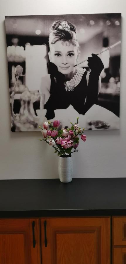 Marilyn Prijemny 3 Izbovy Byt V Raci Raca Dış mekan fotoğraf